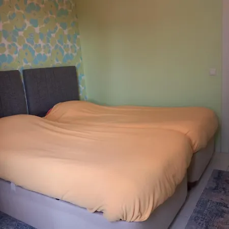 Appartamento Confortable Avec Piscine Et Wifi Belek